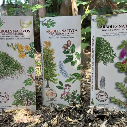 Colección Árboles Nativos de Chile