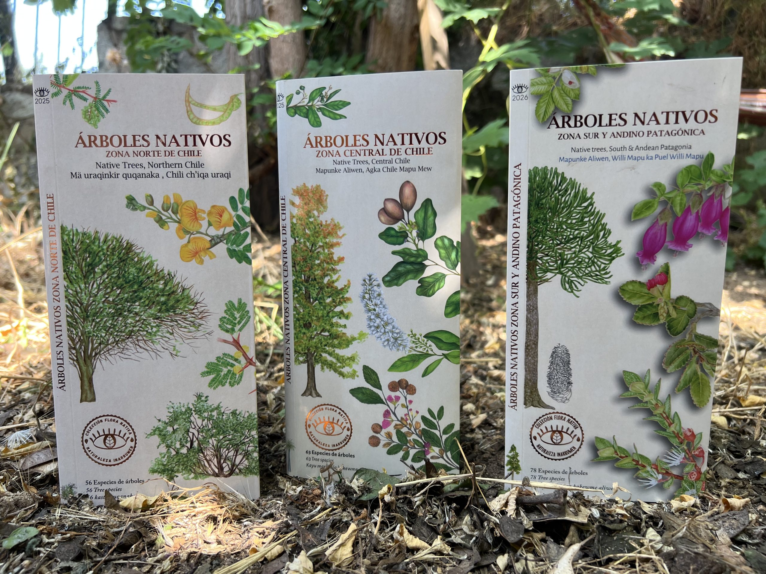 Colección Árboles Nativos de Chile