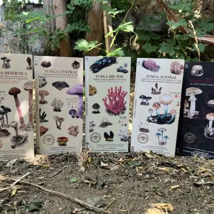 Colección Funga de Chile