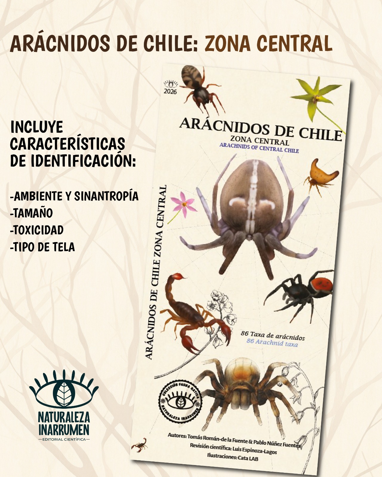 Arácnidos Zona Central PREVENTA