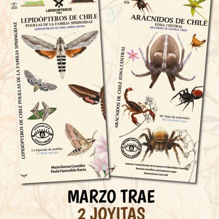 Pack de lanzamiento: Biodiversidad Nocturna