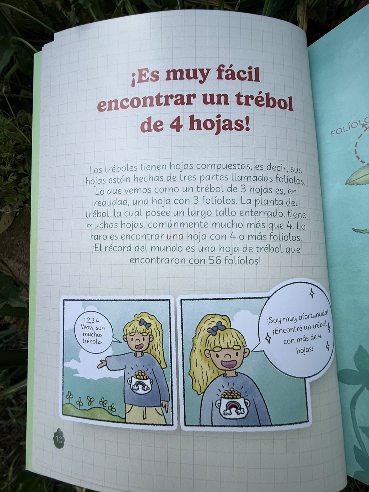 botánicos para la sobremesa - Imagen 2