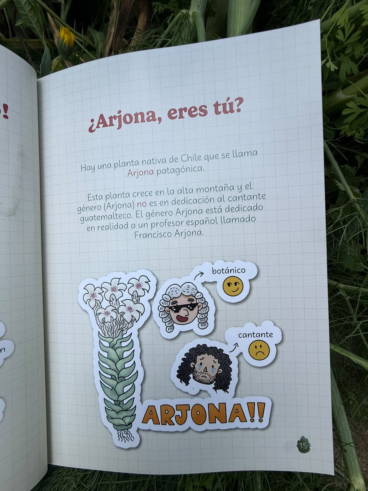 botánicos para la sobremesa - Imagen 4